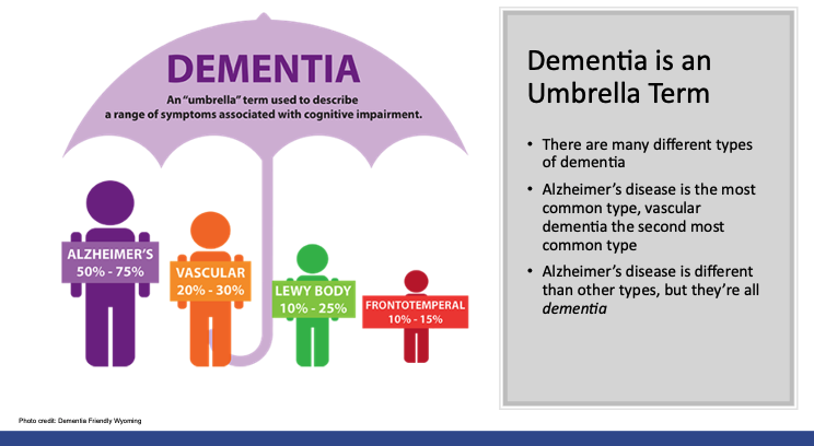 dementia an umbrella term used to describe a range of symptoms associated with cognitive impairment. alzheimer's 50-75% vascular 20-30% lewy body 10-25% frontotemperal 10-15% there are many different tpes of dementia. alzheimer's disease is the most common type vascular dementia the second most common type alzheimer's disease is different than other types but they are all dementia